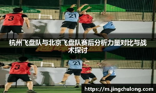 龙8平台