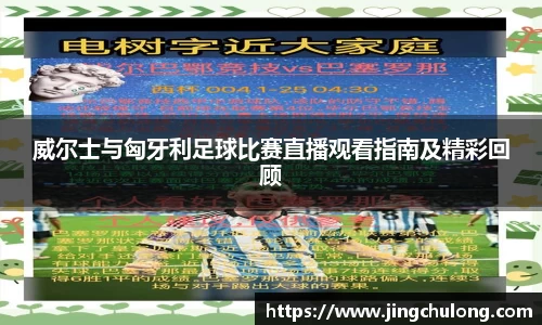 威尔士与匈牙利足球比赛直播观看指南及精彩回顾